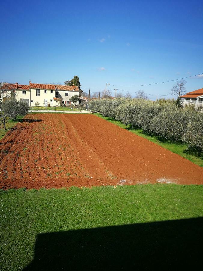 Ljubica Apartman Žbandaj Kültér fotó